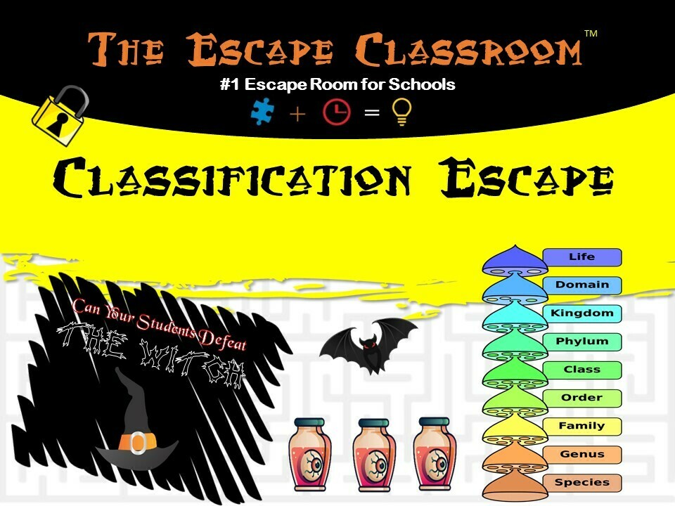 Classification 1 teacher license 