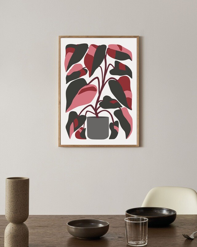 Philodendron Pink Princess