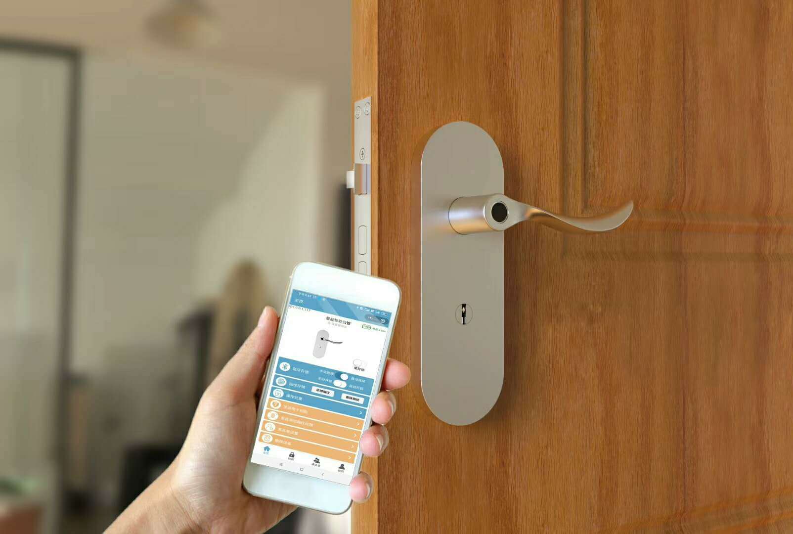Digital Door Access Handles
