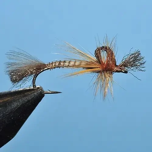 Emergers Single UprightWing Mayfly Dry Fly Innovations