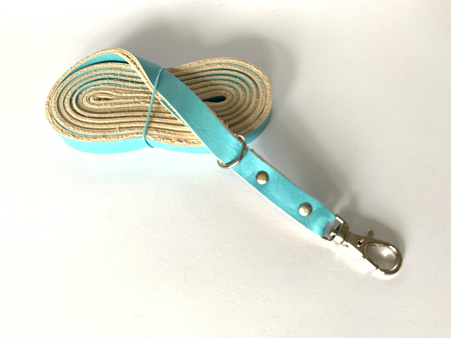 Matching Leash To Harness