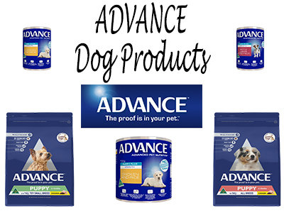 advance puppy kibble