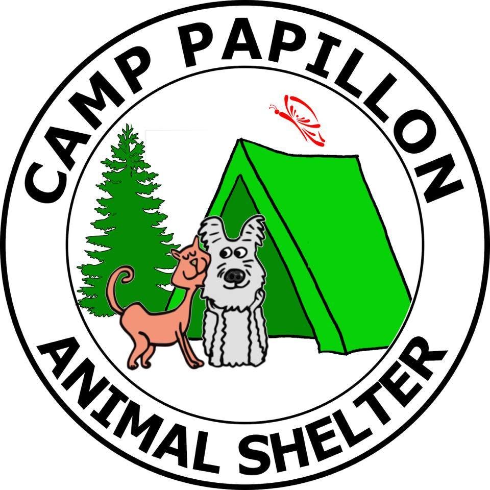 lightweight camp gear