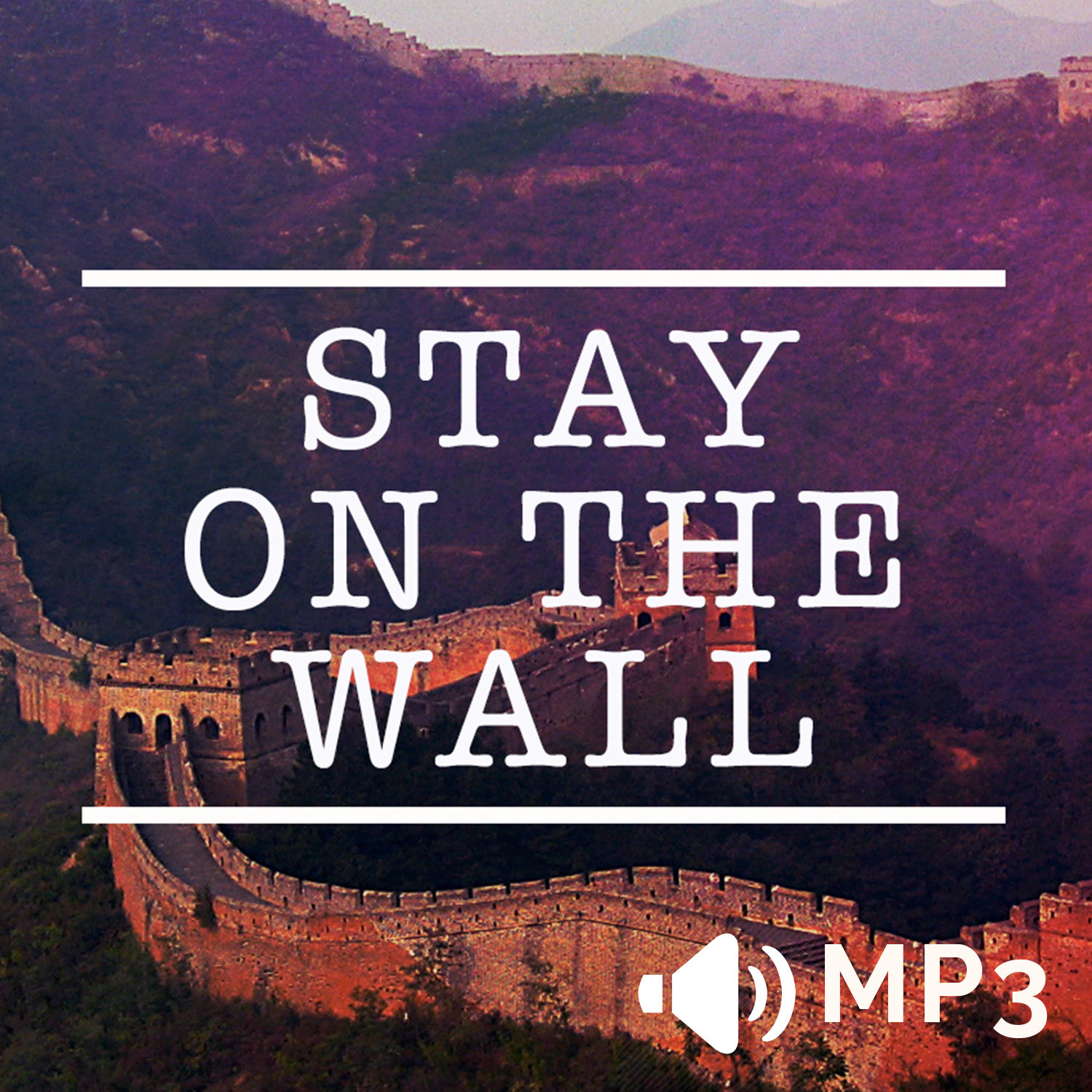 Stay on the Wall Store