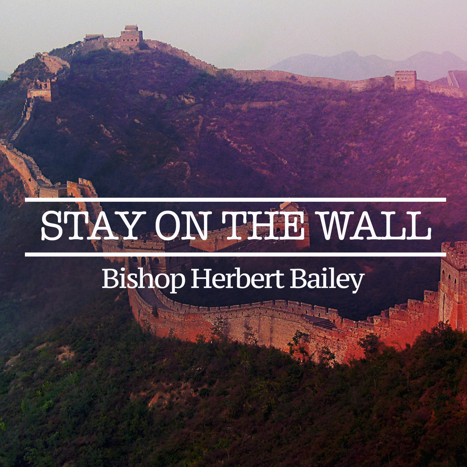 Stay on the Wall Store