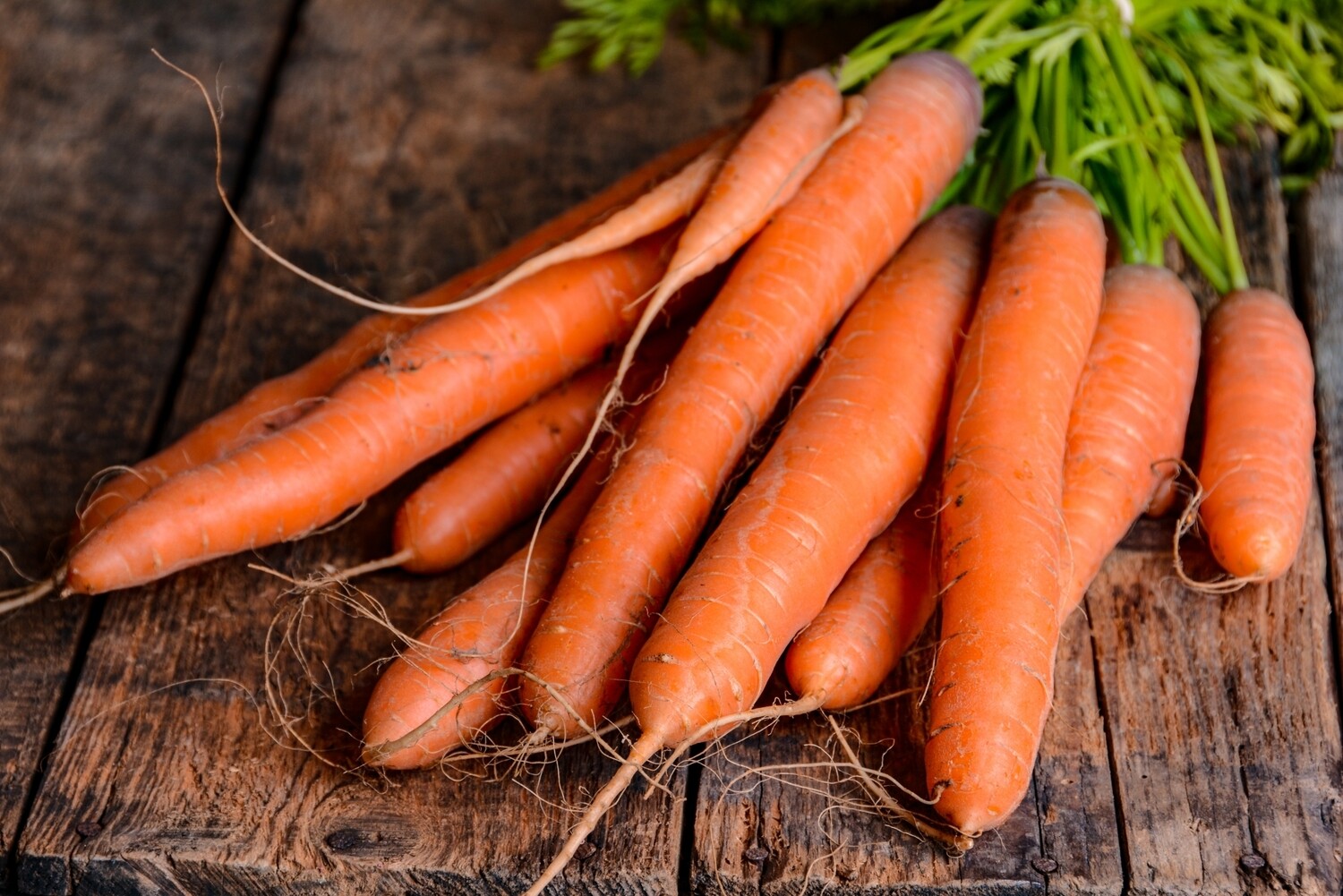 Large Carrots by the piece