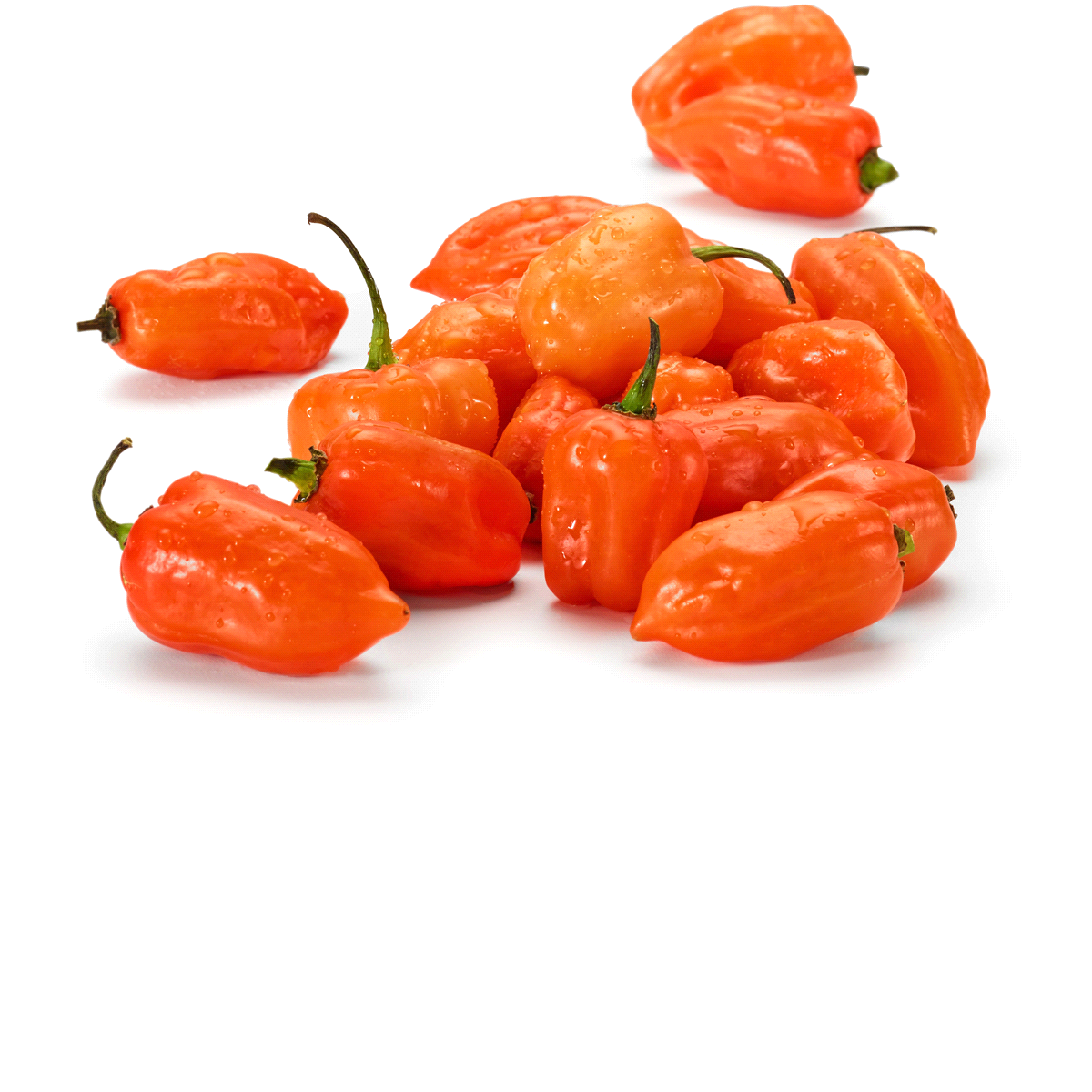 Habanero Pepper 3