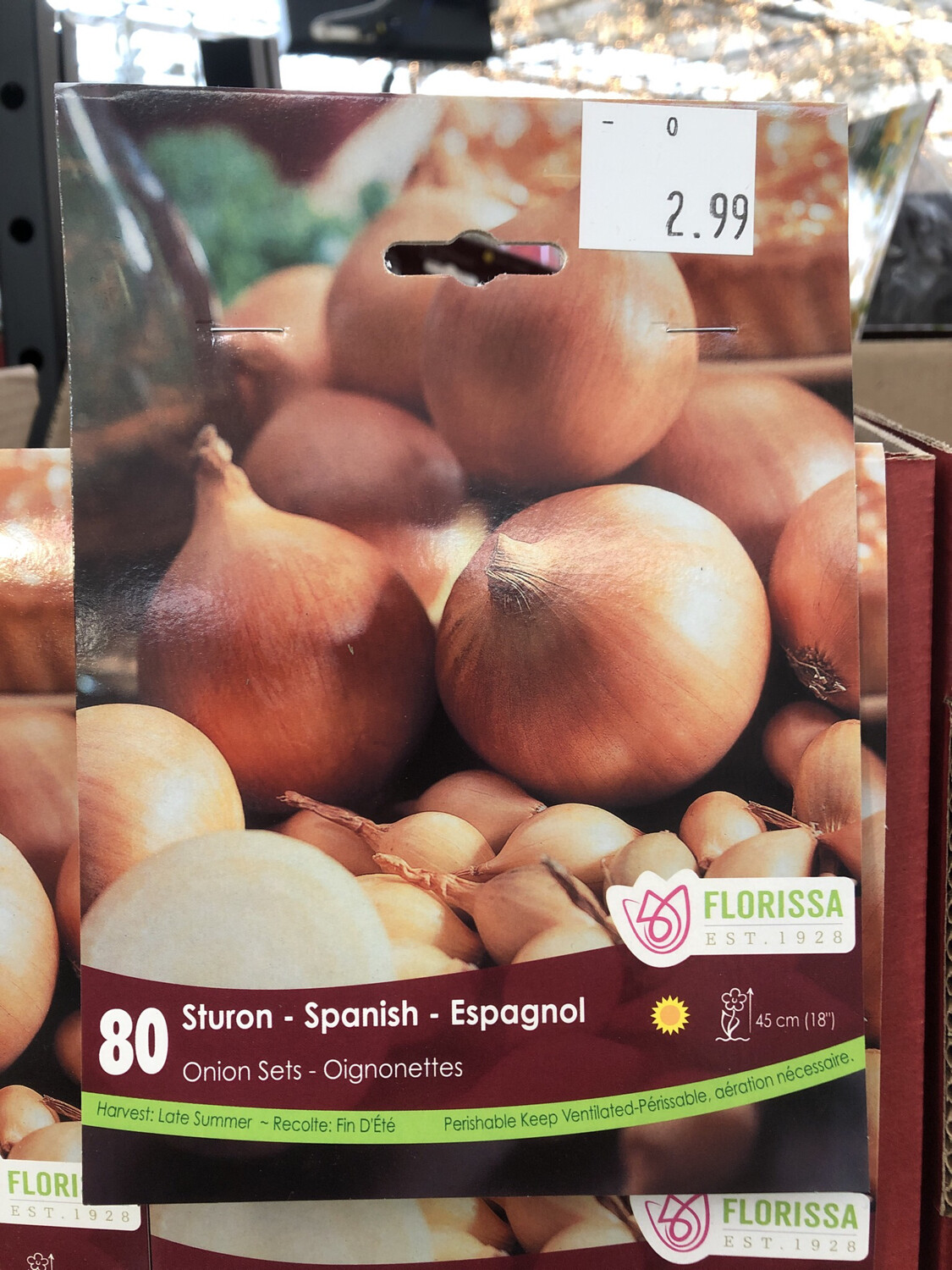 Onions Spanish