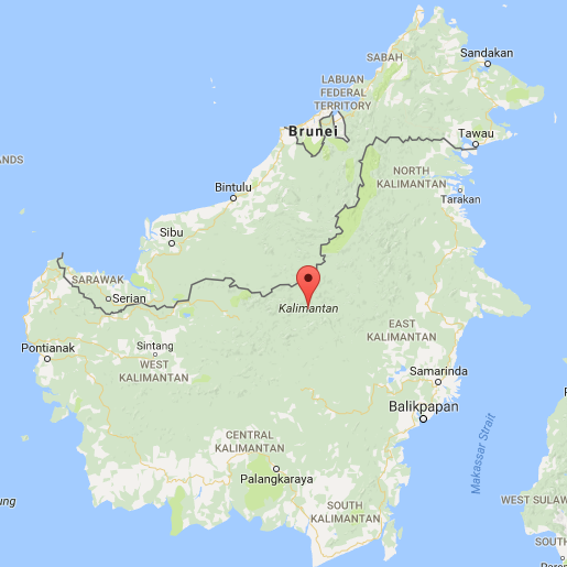 Borneo