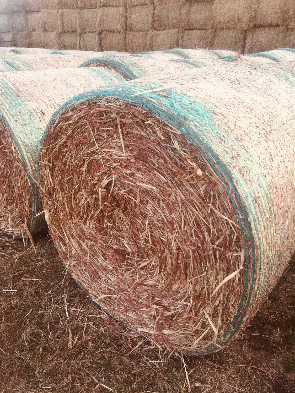 Grain hay 4x4 rounds