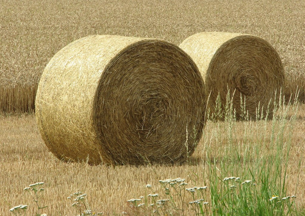 Round bales