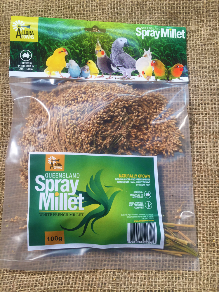 Queensland Spray MilletWhite French 100g