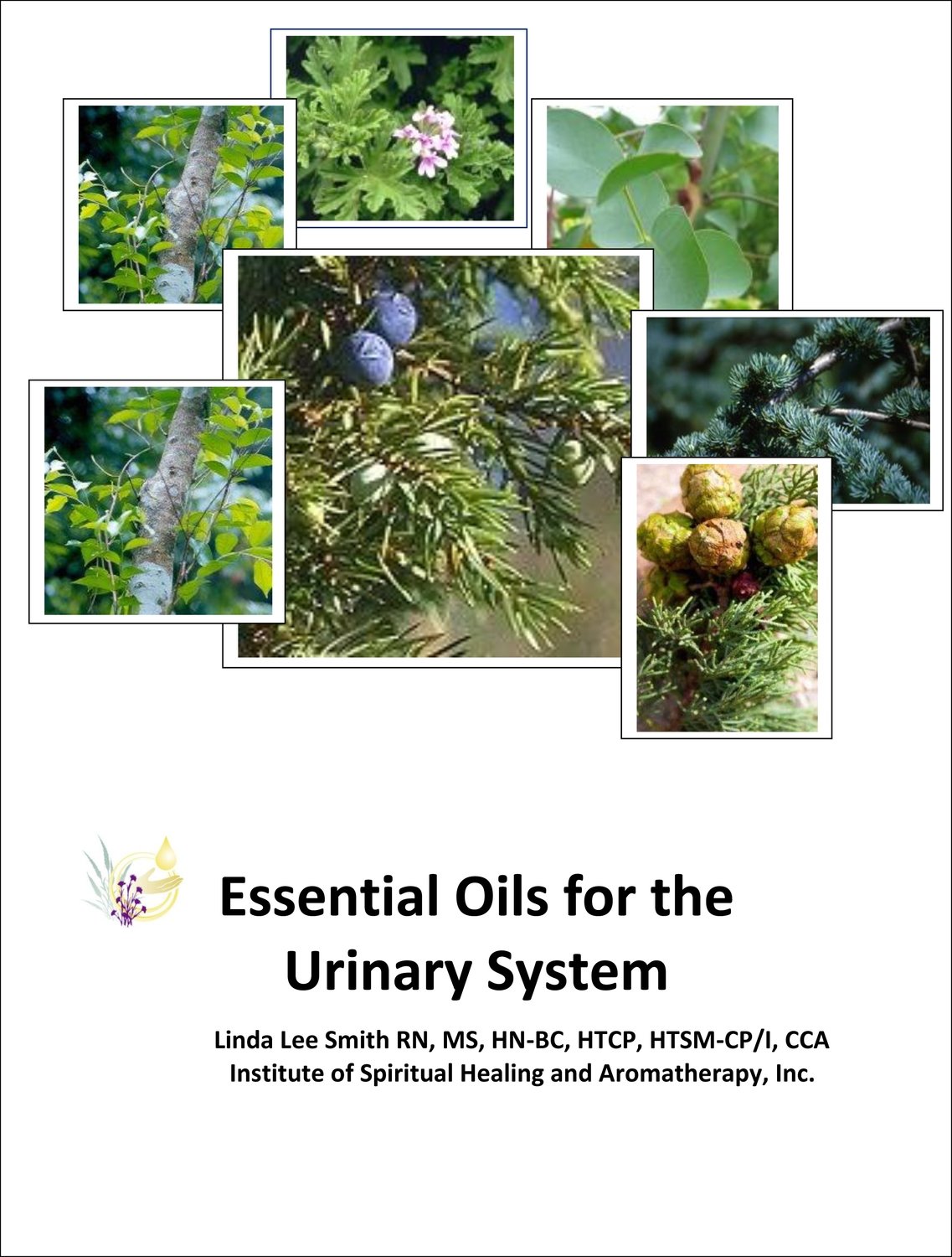 Essential Oils for the Urinary System
