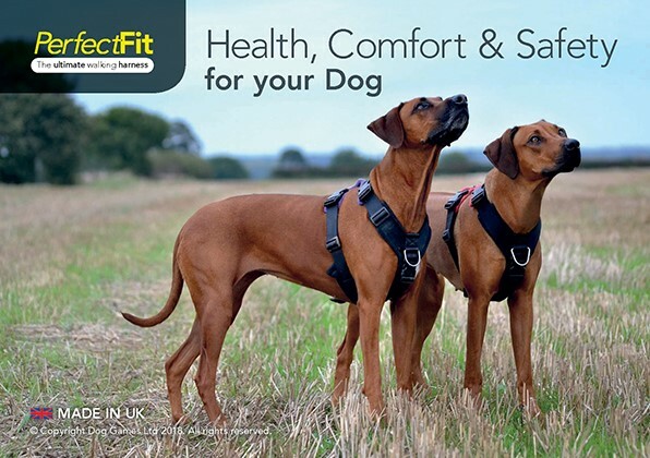 Perfect Fit Harness Suppliers 2025