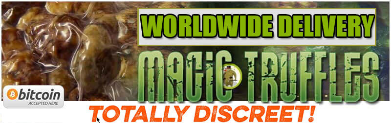 Buy magic truffles online