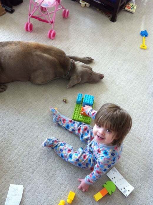Child Playing with Old Dog