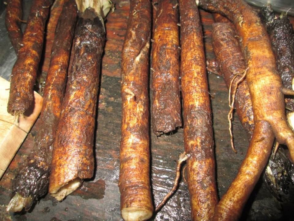 Store – Burdock Root Tincture – Beneficial Botanicals