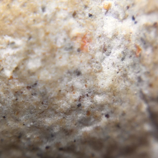 Close up of Muan Sarn of Look Om Luang Por Kong Wat Bang Gaporm