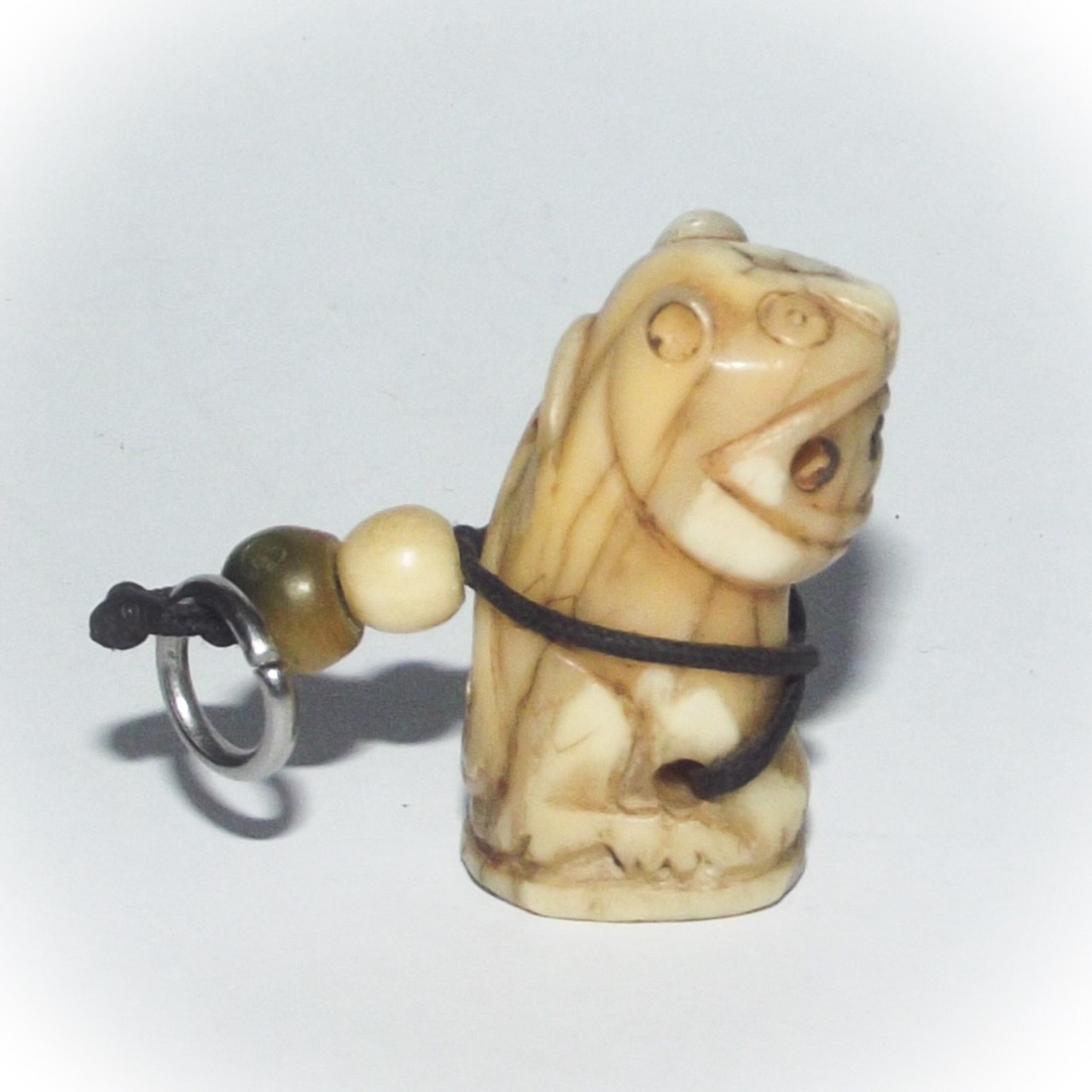 Tiger tooth amulet lp Parn