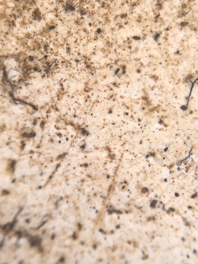 rear face Pra Somdej Wat Gaes Chaiyo