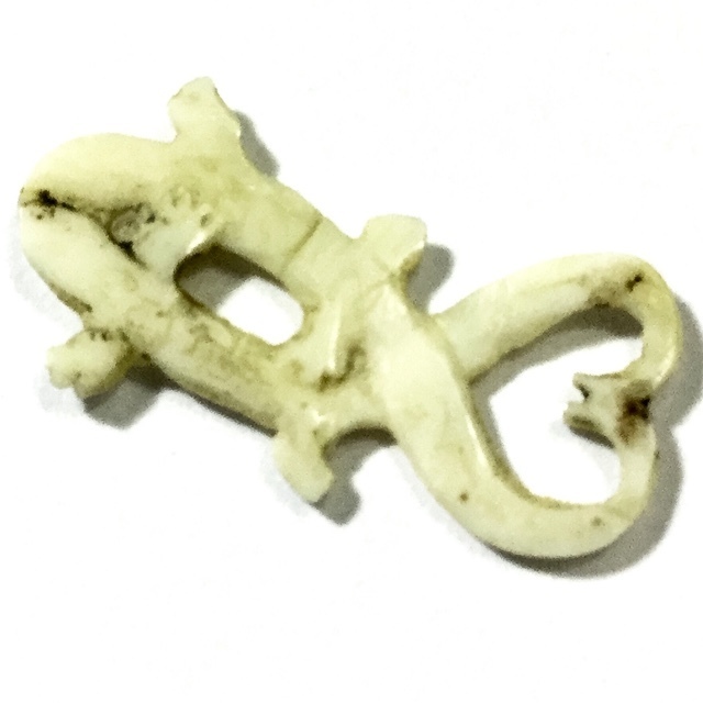 Gecko Charm carved ivory Luang Phu Nai