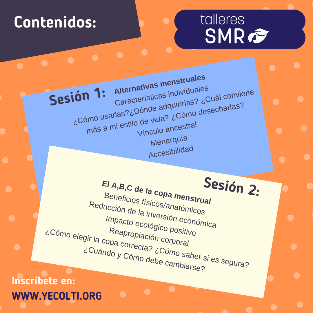 Contenidos 