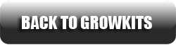 Back to the magic mushroom grow kits