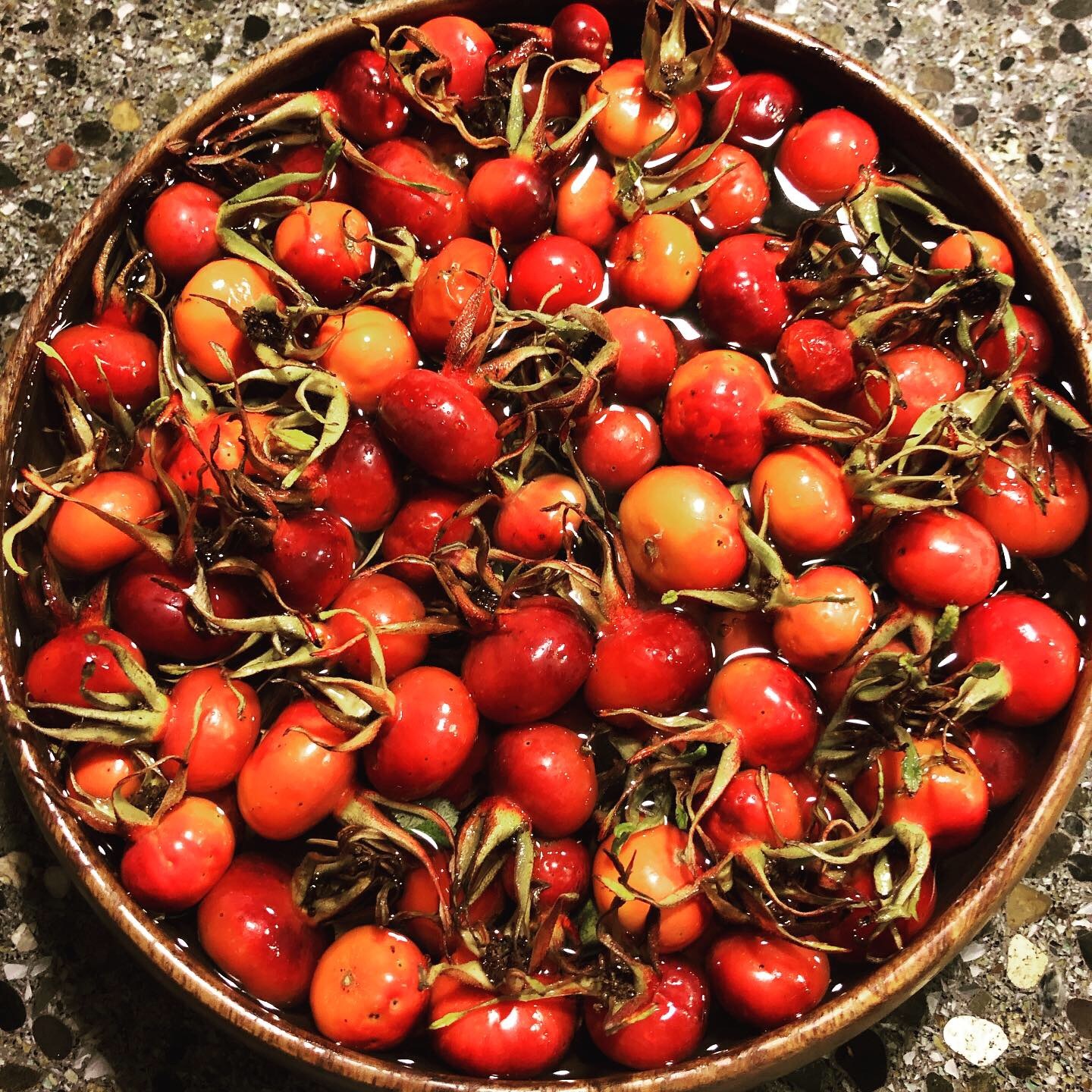 The Rose Hips are quickly rinsed in cold water, to insure as much of the nutrients stay intact. The Nootka rose produces fruit the size of small plums.  