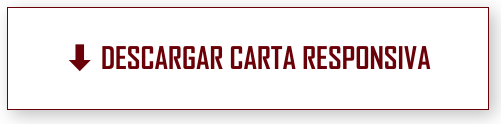 CARTA RESPONSIVA