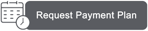 Request payment plan