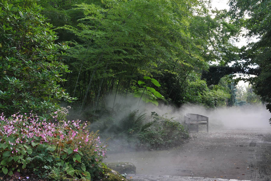 Kit pompe à brumasser haute pression professionnel TEDDINGTONphoto 4