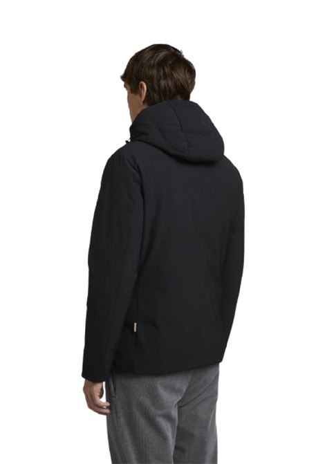  At.p.co | A293HECTOR7011