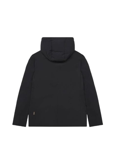  At.p.co | A293HECTOR7011