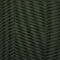 Military Green webbing swatch
