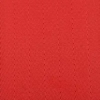 Flame Red webbing swatch