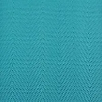 Turquoise webbing swatch