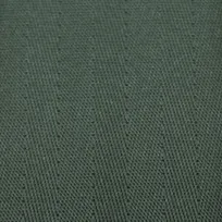 Military Green webbing swatch