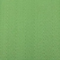 Lime Green webbing swatch