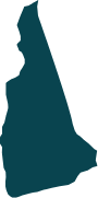 New Hampshire state icon