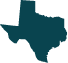 Texas state icon