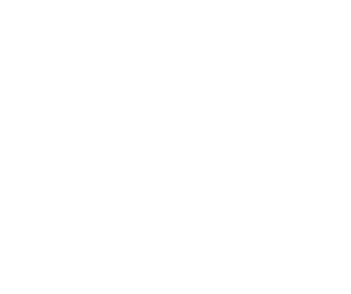 White-FLIP-TM logo.