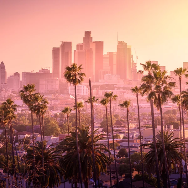 LA, CA, seen through palm trees.