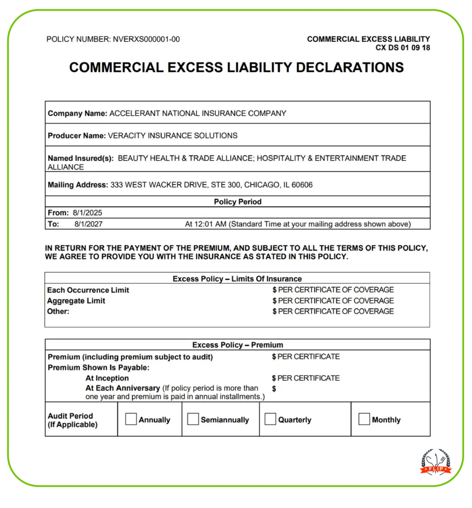Commercial excess liability declaration image.