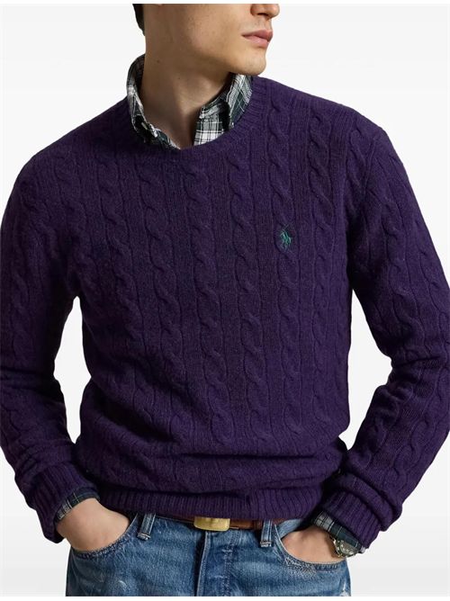 Maglione con logo Ralph Lauren | 710876762505