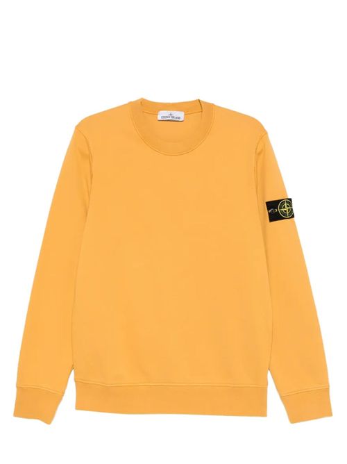 Felpa con logo Stone Island | L1S156100060S0051V0034