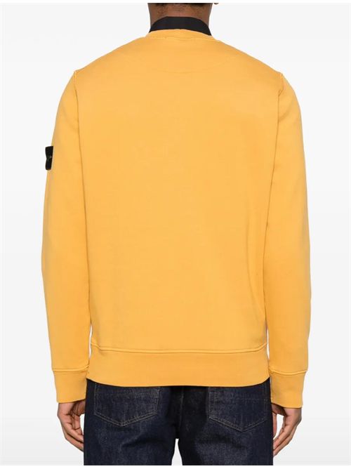 Felpa con logo Stone Island | L1S156100060S0051V0034