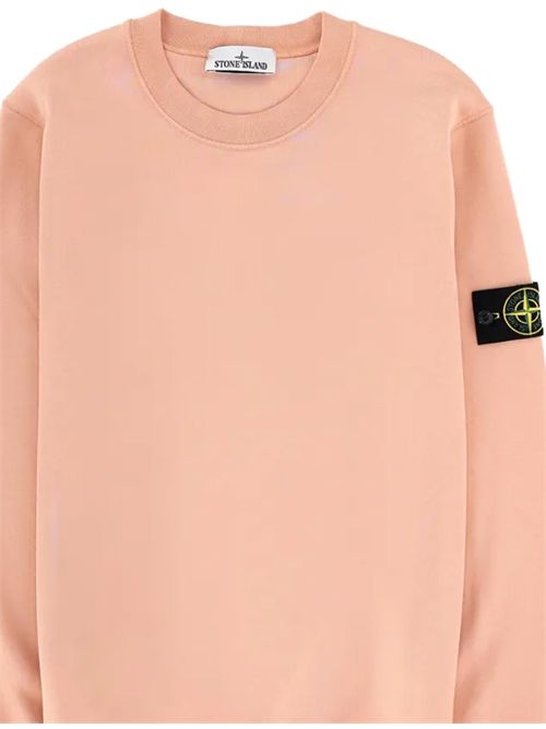 Felpa con logo Stone Island | L1S156100060S0051V008E