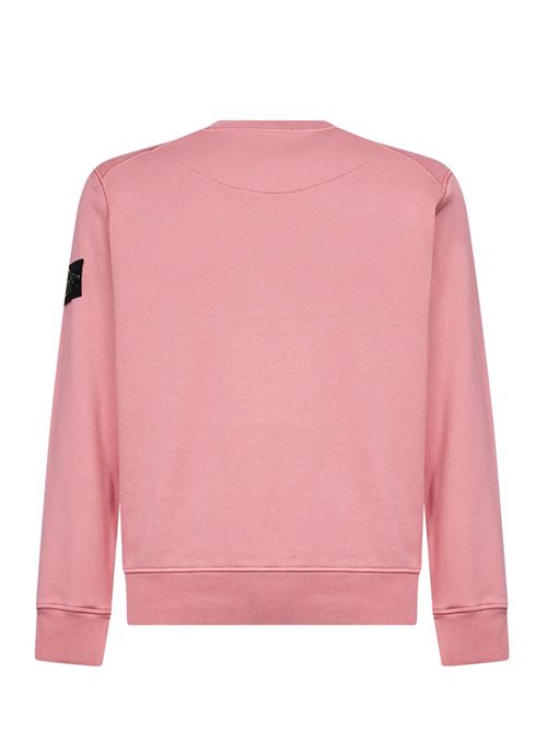 Felpa con logo Stone Island | L1S156100060S0051V008G