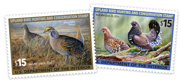 bird stamp