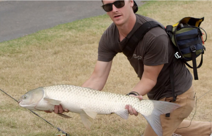 Phoenix Fly Fishing. Wait, Phoenix, Arizona?